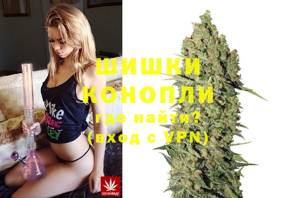 PSILOCYBIN Балабаново