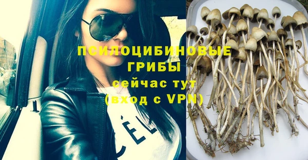PSILOCYBIN Балабаново