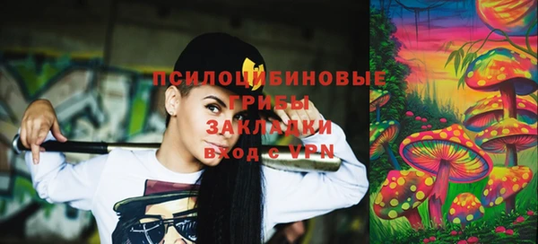 PSILOCYBIN Балабаново