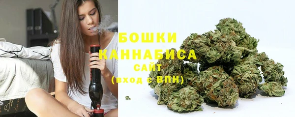 PSILOCYBIN Балабаново