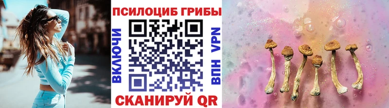 Галлюциногенные грибы Magic Shrooms  где найти   Краснокаменск 